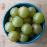 scuppernong grapes